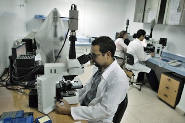 Apuntes sobre la necesidad de una Estrategia Gubernamental de desarrollo de la Ciencia