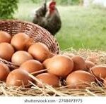 El consumo habitual de huevos reduce el riesgo de padecer Alzheimer