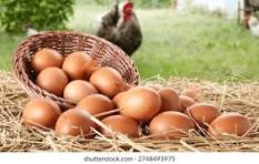 El consumo habitual de huevos reduce el riesgo de padecer Alzheimer